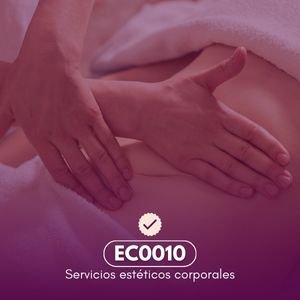estandar EC0010
