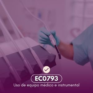 estandar EC0793