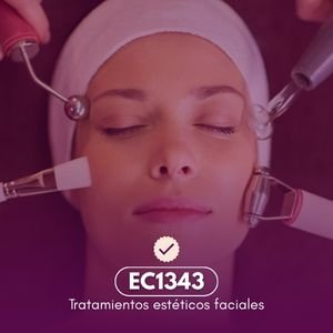 estandar EC1343